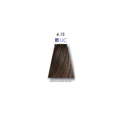 Keune Tinta Color Dark Ash Golden Blonde 6.13UC - 60ml