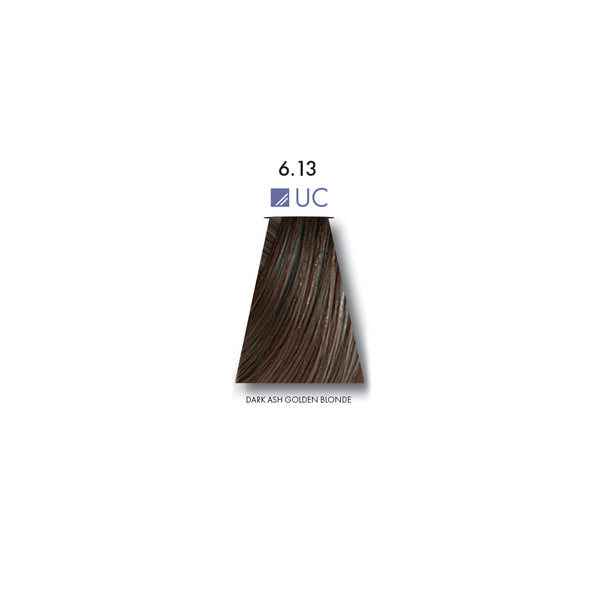 Keune Tinta Color Dark Ash Golden Blonde 6.13UC - 60ml