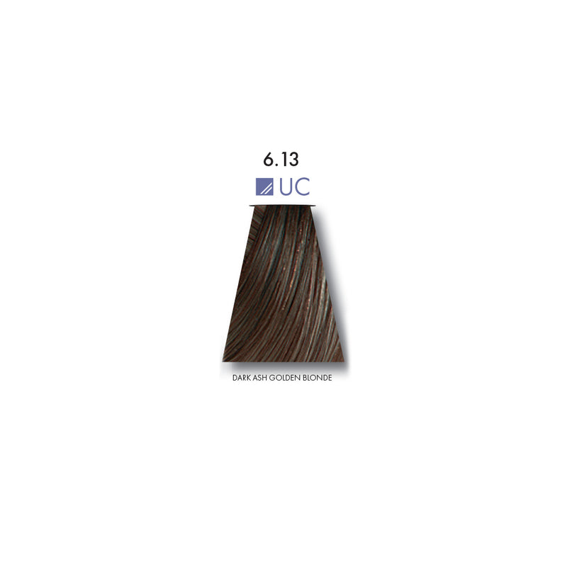 Keune Tinta Color Dark Ash Golden Blonde 6.13UC - 60ml